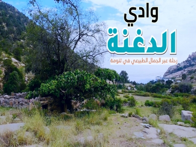 تنومة .. وادي الدغنة